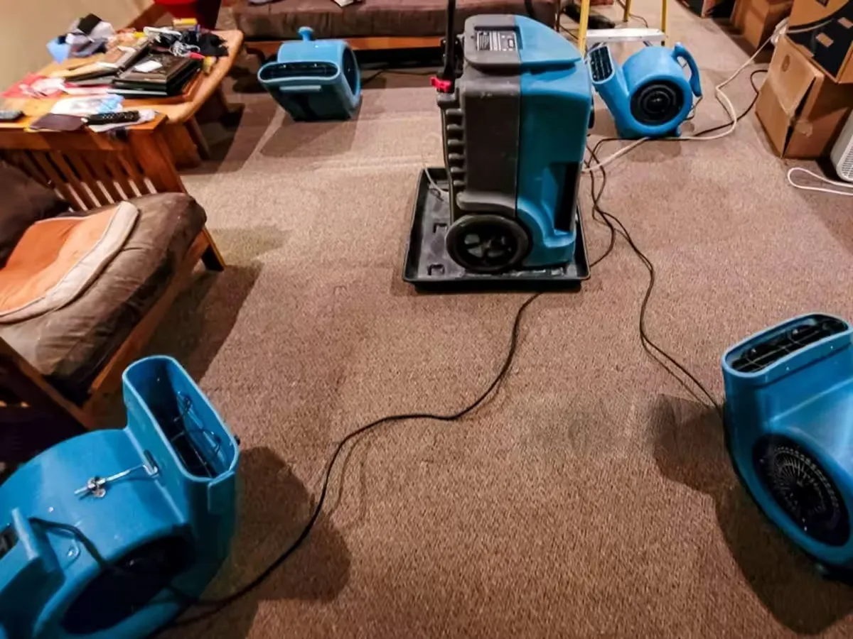 Charlotte Water Damage Restoration – What Homeowners Must Do in The First Hour After Damage