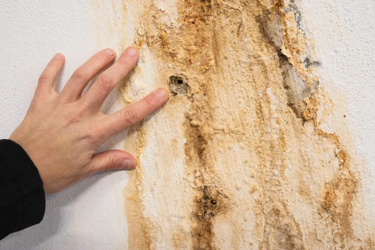 How Long Does Water Damage Restoration Take?