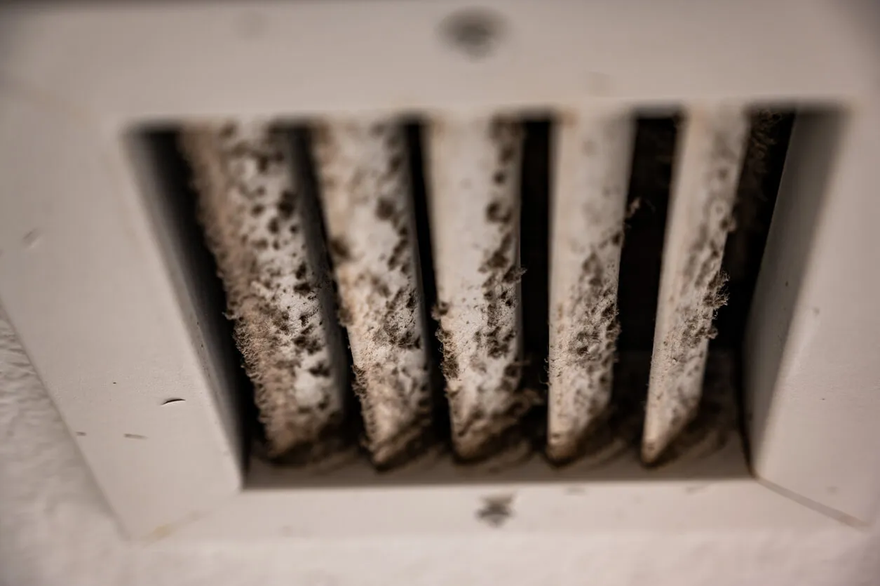 Mold in HVAC Systems: How It Spreads and What to Do About It