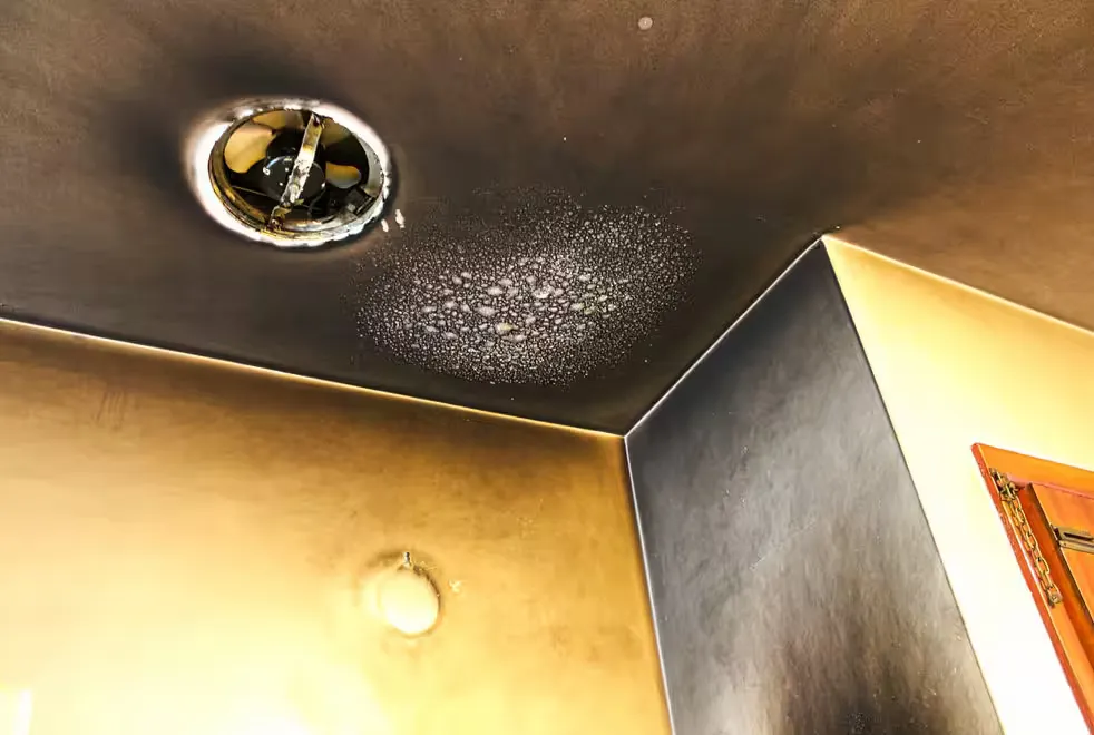 The Role of Board-Up Services in Securing Properties After a Fire or Break-In