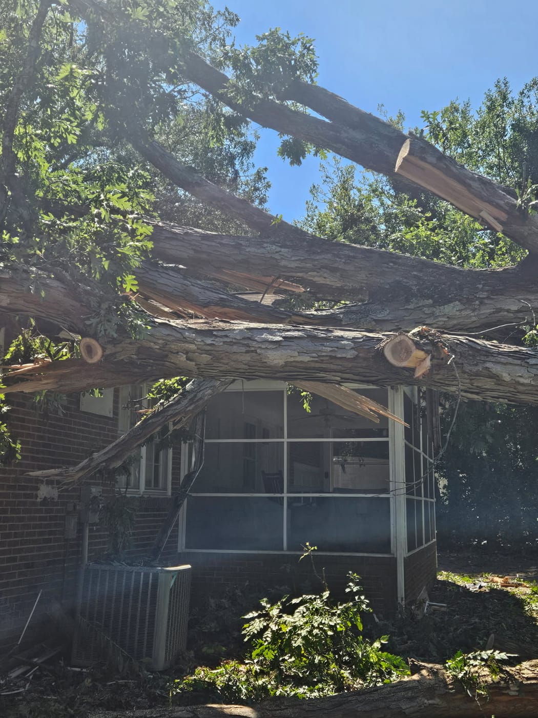 A large tree fallen against the back of a house, its trunk and branches collapsing the screened porch beneath it