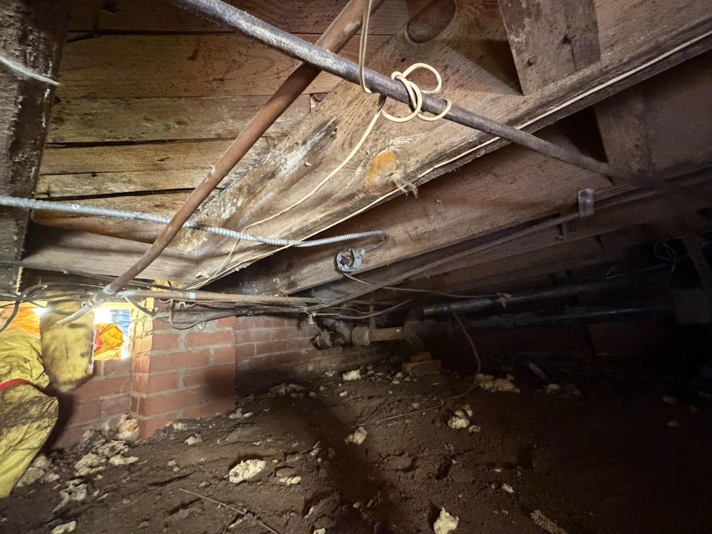 The underside of a house lit from one side, pale staining across old timber framing overhead, wiring and pipework threaded between it, and torn fiberglass batts fallen onto bare earth below