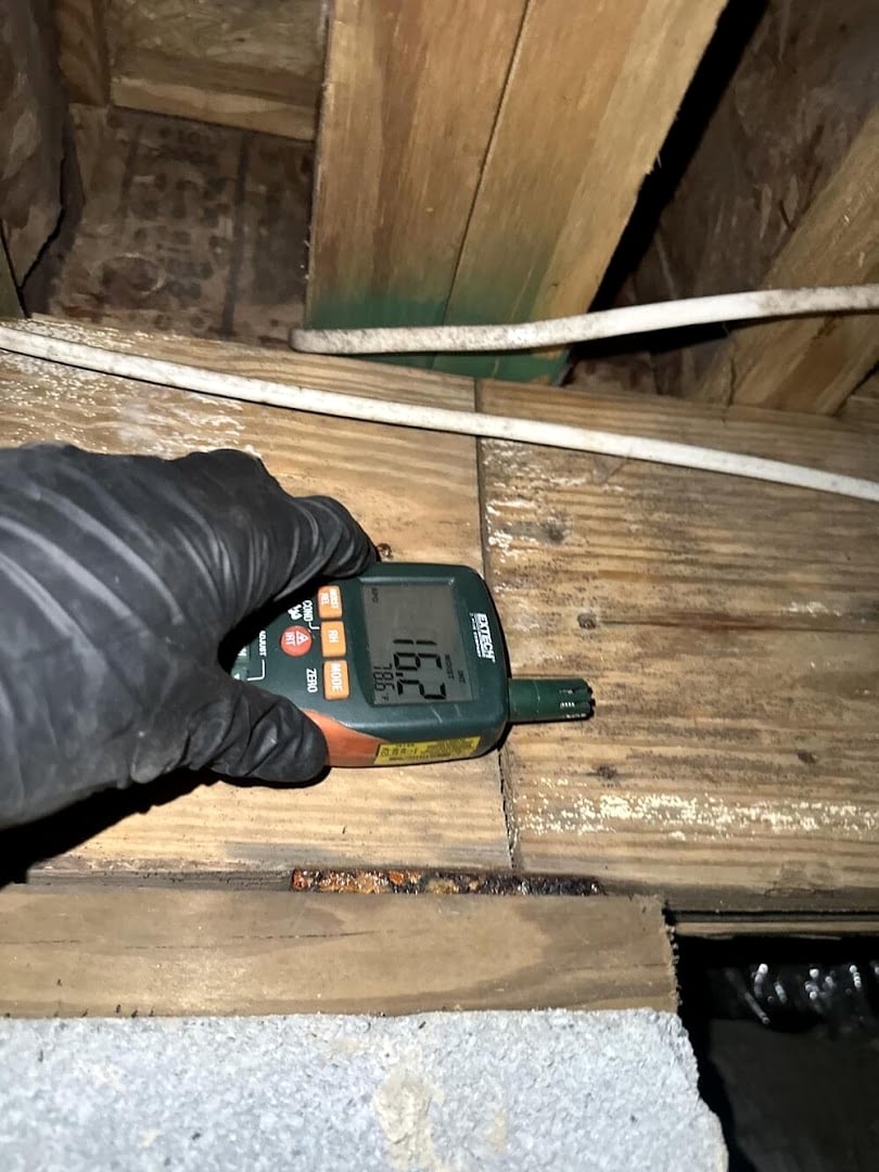 Crawl Space Water Damage: restoration work in progress